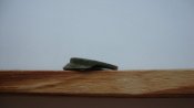 DSC06299.JPG