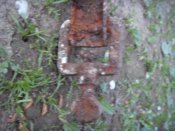 SDC13416.JPG