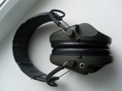 SL375719.JPG