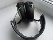 SL375722.JPG