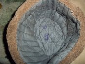 100_4454.JPG