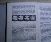 CIMG6469.JPG
