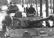 2ssTiger.jpg
