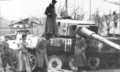 tigr1203.jpg