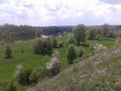 2015-05-01 11.57.18.jpg