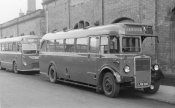 Crosville Leyland.JPG
