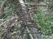 DSC00054.JPG