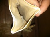 IMG_20150512_213827[1].jpg