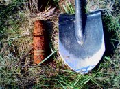 IMG0031A.jpg