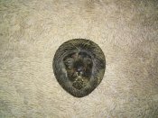 20150513_134606.jpg
