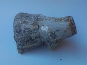 IMAG0888-1.jpg