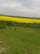 20150513_105424.jpg