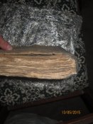 IMG_2995.JPG