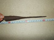 DSCN5729.JPG