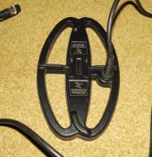 IMG_2382.JPG