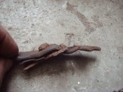 DSC08462.JPG