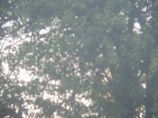 IMG_4143.JPG