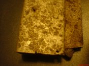 DSC02214.JPG