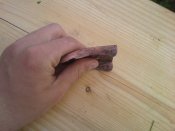 20150517_092412.jpg