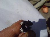 DSC03616.JPG