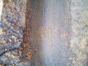 20150517110849.jpg