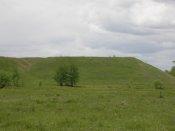 P1010027.JPG
