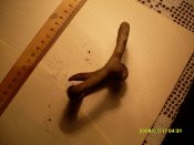 SDC14573.JPG