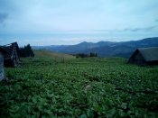 20150516094739.jpg