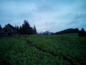 20150516094827.jpg
