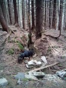 20150516132520.jpg