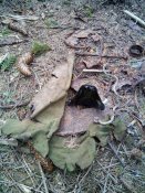 20150516140437.jpg