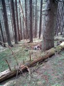 20150516151708.jpg