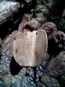 20150516162134.jpg