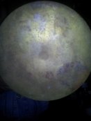 IMG_20150515_155608.jpg