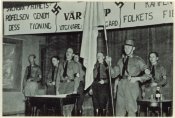 'Svenska National Socialistiska Partiet'.jpg