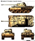 21595245.jpg