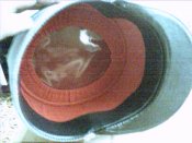 Foto_1571.jpg