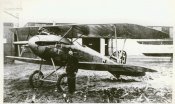 ALBATROS.JPG