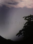 downloadfile-1.jpeg