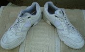 DSC00166.JPG