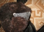 IMG_7087.JPG