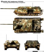 79903629.jpg