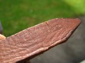 IMG_7564.JPG