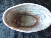 DSCN4454.JPG
