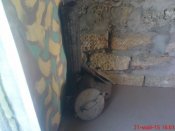 DSC03487.JPG