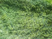 DSC00716.JPG