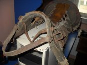 DSCN4573.JPG
