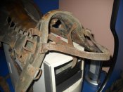DSCN4590.JPG