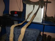 DSCN4614.JPG