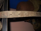 DSCN4637.JPG